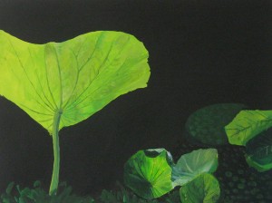 Lotus 09 2011 Va